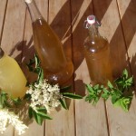 Sirops de Menthe et de Sureau Sirops de Menthe et de Sureau