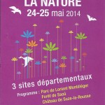 Fête de la nature dana la forêt de Saoû Fête de la nature dana la forêt de Saoû