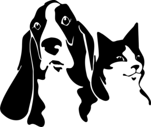 kisspng-dog-cat-wall-decal-pet-shop-5af9a99f468975.6856098315263113272889